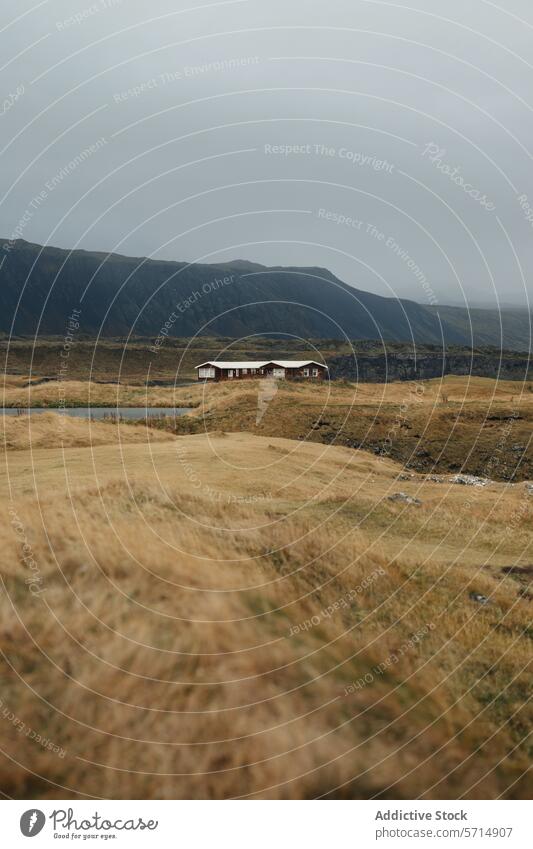 Generiertes Bild Island Landschaft abgelegen Haus Berge u. Gebirge Nebel Feld Natur Einsamkeit ländlich ruhig Ruhe isländisch reisen Ausflugsziel malerisch