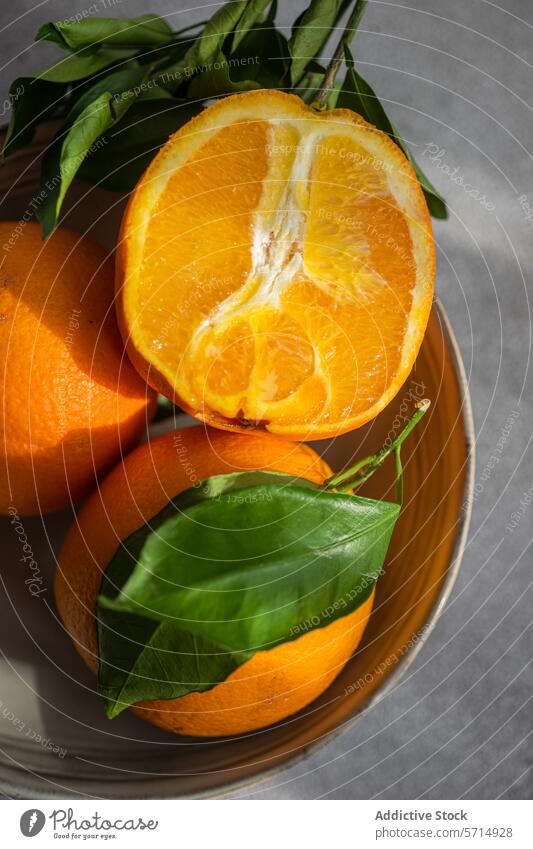 Frische Orangen mit Blättern an einem sonnigen Tag orange Zitrusfrüchte Frucht Blatt grün Schalen & Schüsseln Sonnenlicht frisch natürlich hell reif saftig