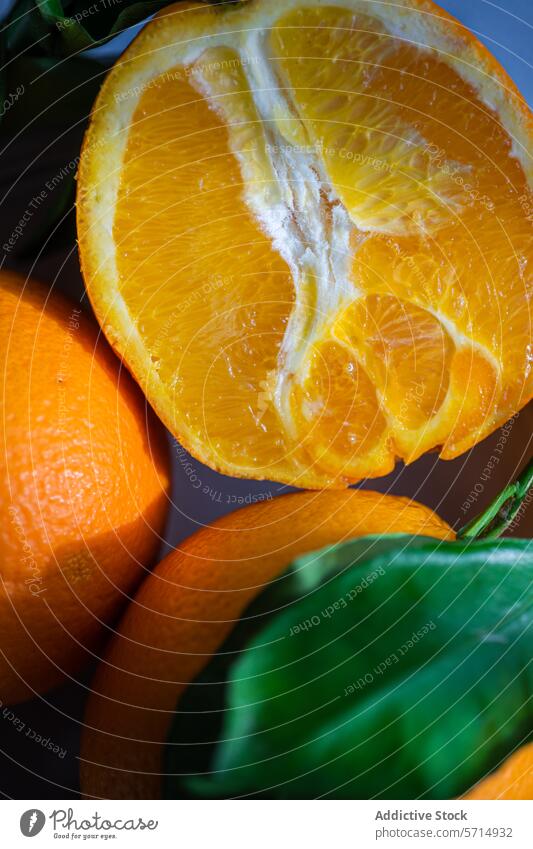 Frische Orangenscheibe mit ganzen Orangen im Hintergrund orange Scheibe saftig frisch Frucht Zitrusfrüchte Blatt blau Oberfläche Lebensmittel Vitamin Gesundheit