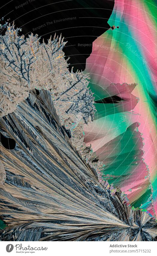 Abstrakte bunte Glitch Art mit natürlichen Elementen abstrakt Störung Kunst digital Einfluss surreal farbenfroh visuell Design Textur Hintergrund Muster modern