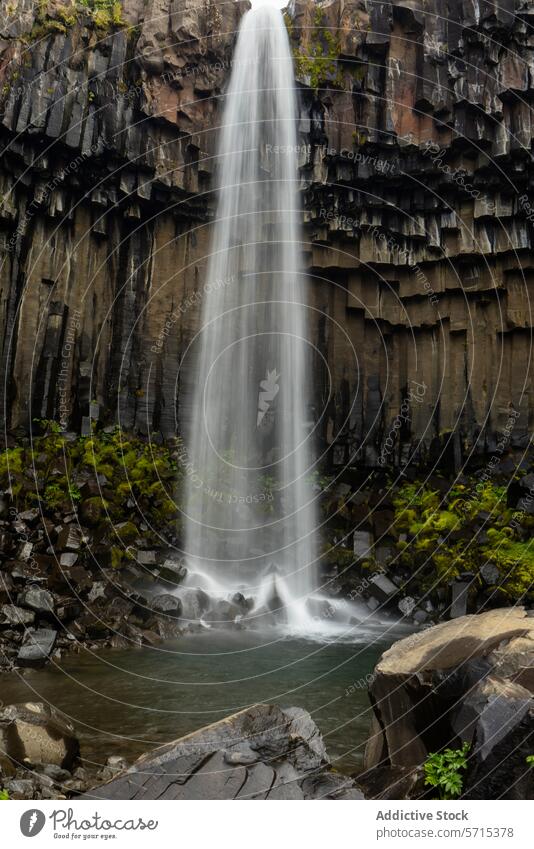 Majestätischer Basaltsäulen-Wasserfall in Island Spalte Landschaft Natur Gelassenheit Kaskade Moos üppig (Wuchs) grün Felsen fließen Geologie basaltisch