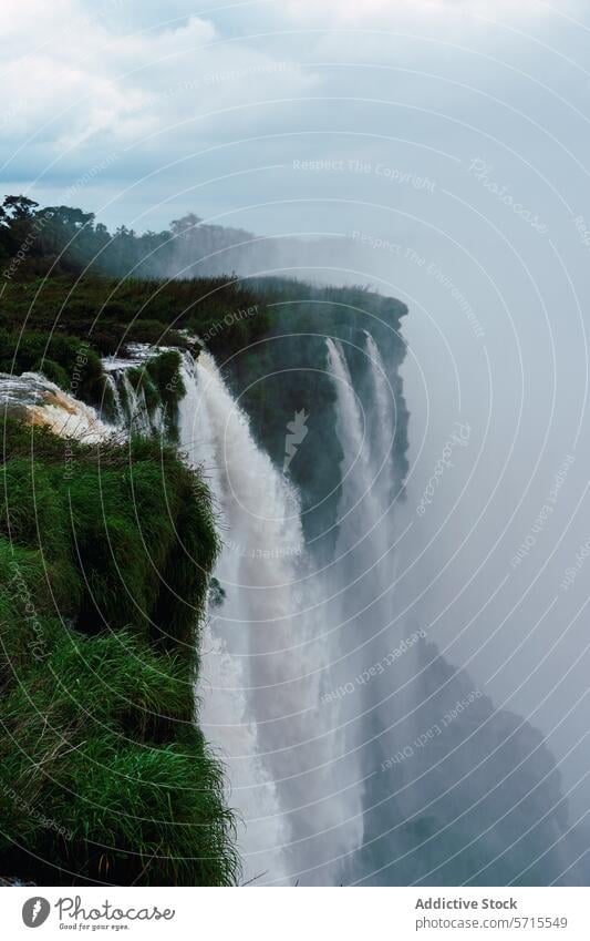 Neblige Iguazu-Fälle in üppigem Grün Iguazu Fälle Argentinien Wasserfall Nebel Natur Laubwerk vertikal Himmel Wolken üppig (Wuchs) Landschaft reisen Tourismus