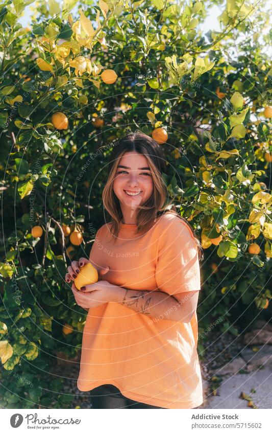 Lächelnde junge Frau beim Ernten von Zitronen im heimischen Garten Baum Zitrusfrüchte Frucht Kommissionierung heiter orange Hemd üppig (Wuchs) Natur im Freien