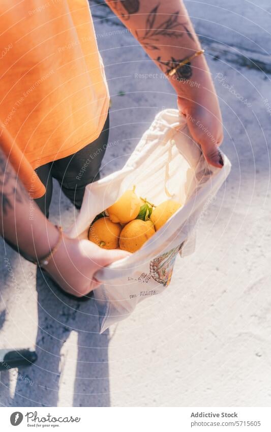 Anonymes Ernten von frischen Zitronen im Hausgarten Kommissionierung reif Stofftasche Frucht Zitrusfrüchte Hand Tattoo im Freien Sonnenlicht Sommer Ackerbau
