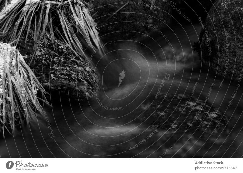 Winterlicher Bach im Guadarrama-Nationalpark strömen guadarrama schwarz auf weiß Foto eisig Wasser Frost Felsen Gelassenheit Natur Monochrom Landschaft kalt