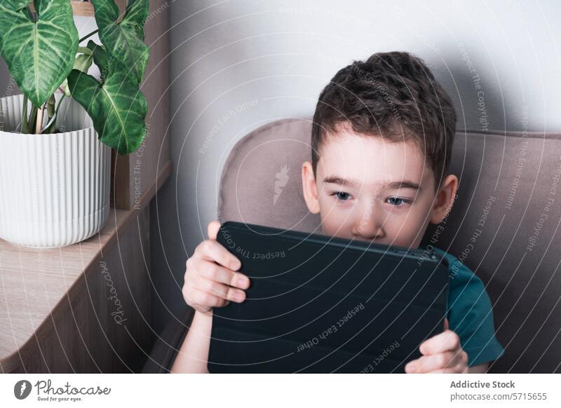 Kleines Kind beschäftigt sich zu Hause mit Tablet-Technologie Technik & Technologie Tablette digital modern Jugend absorbiert Engagement Apparatur heimwärts