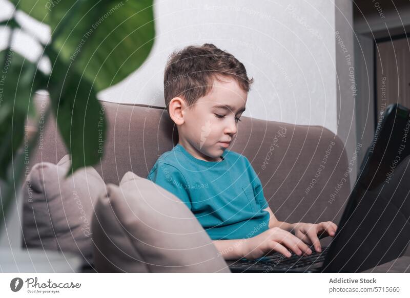 Junge, der zu Hause in einen Laptop vertieft ist Kind Technik & Technologie modern jung heimwärts digital Alphabetisierung früh Lernen Bildung Internet