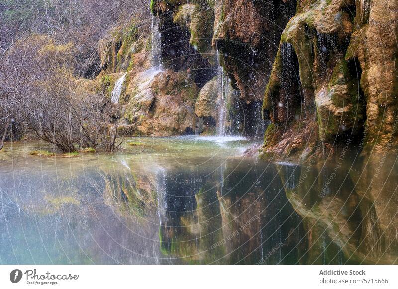 Kristallklares Wasser fließt von moosbewachsenen Felsen in einen ruhigen Pool, in dem sich die ruhige Waldumgebung widerspiegelt. Moos Reflexion & Spiegelung