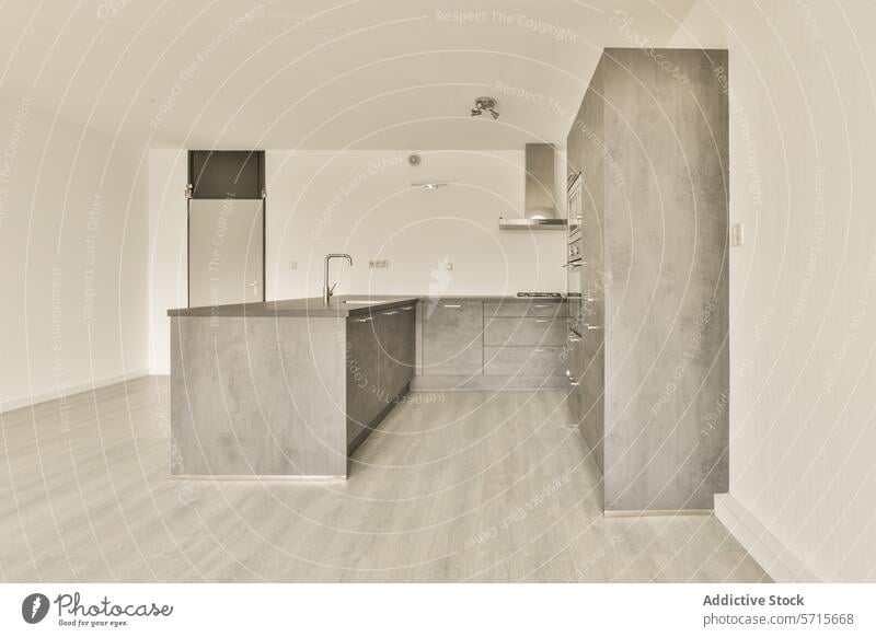 Moderne Küche in einer minimalistisch eingerichteten Wohnung modern Appartement Innenbereich Design leer Beton beenden integriert Waschbecken Kabinett
