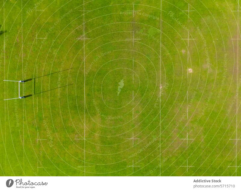 Luftaufnahme eines grünen Sportplatzes mit weißen Markierungen Antenne Dröhnen Ansicht Feld Gras Linien im Freien Textur Muster Boden hoher Winkel