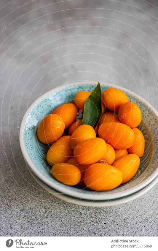 Draufsicht auf eine lebendige Schale frischer Kumquats mit grünem Blatt, platziert auf einer strukturierten grauen Oberfläche Frucht Schalen & Schüsseln