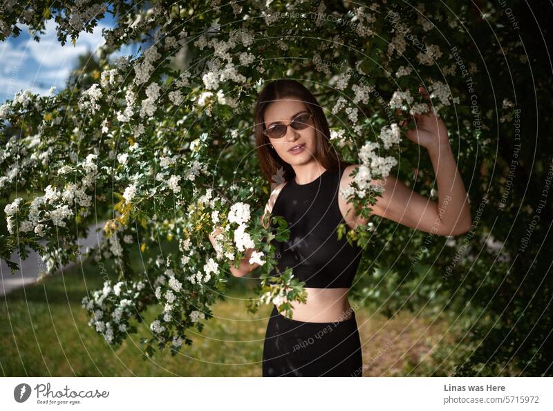 Draußen ist das Wetter perfekt, mit all den weißen Blüten und dem Duft des Frühlings in der Luft. Ein wunderschönes brünettes Mädchen mit Sonnenbrille schmiegt sich gemütlich zwischen die Blumen. Dieser Modelltest läuft mit Leichtigkeit.