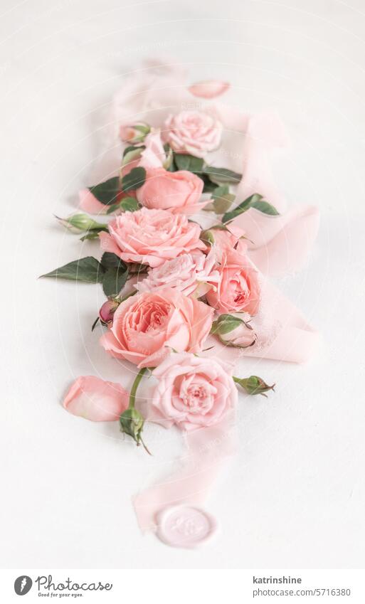 Hellrosa Rosen, Blütenblätter und Knospen, grüne Blätter und Seidenbänder dicht an dicht auf Weiß Blumen romantisch Pastell Bänder abschließen Valentinsgruß