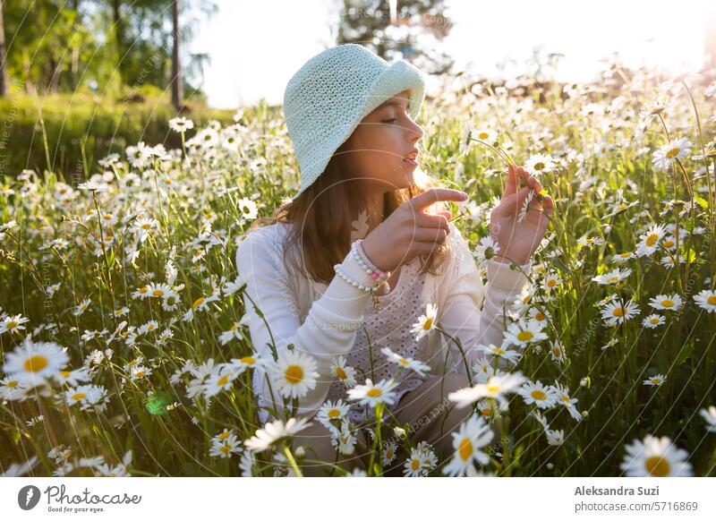 Mädchen sitzt auf einer Wiese mit Wildblumen. Hintergrund des Feldes mit blühenden Gänseblümchen. Sonniger Sommertag, Strahlen des Lichts. Sommerurlaub Konzept