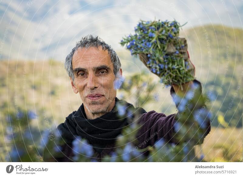 Sammeln von Rosmarin für die Herstellung von Parfümessenzen in den Alpen: Der italienische Mann schneidet Rosmarin in Norditalien mit einer Gartenschere. Spektakulärer Blick auf eine Landschaft mit Bergen.