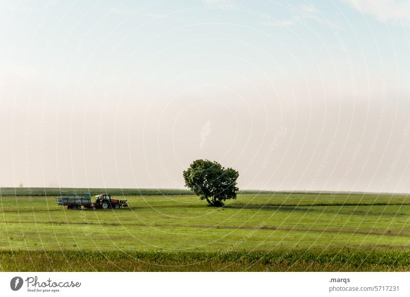 Trecker fahrn Landwirt ländlich Landleben grün blau schön authentisch Traktor Verkehrsmittel Feld Wiese Schönes Wetter Horizont Wolken Himmel Luft Urelemente