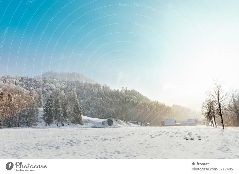 Sonnige Winter Landschaft im Berchtesgadener Land, Bayern Landschaften Schnee Berge u. Gebirge Himmel Alpen Gipfel Schneebedeckte Gipfel Außenaufnahme
