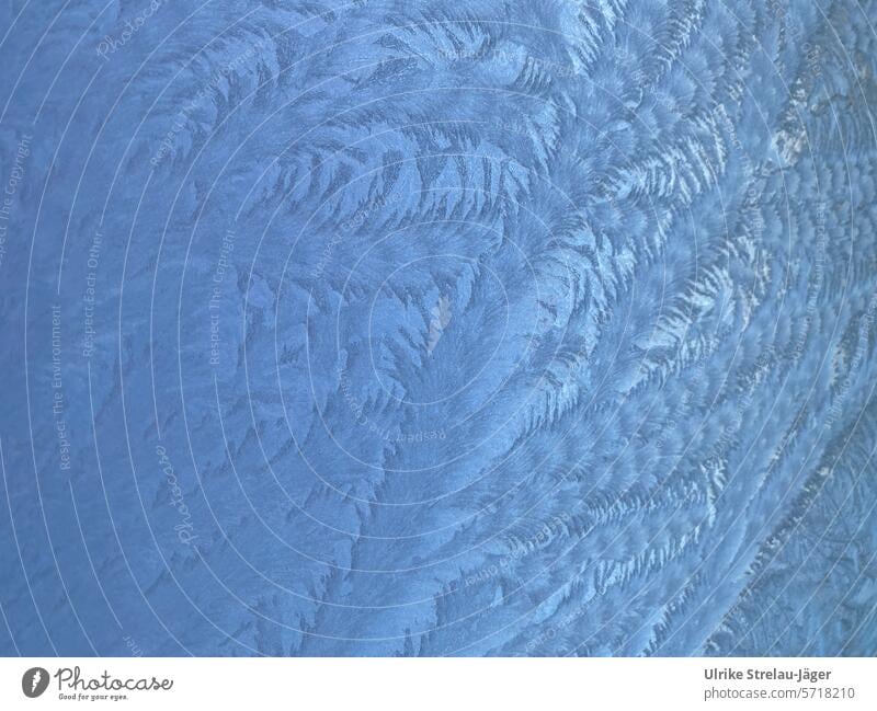 Eislinien am Fenster | blaue Morgenstunde | Eiskunst Eisblumen Frost gefroren kalt Kristallstrukturen Eiskristall frieren Kälte Eiskristalle Muster Strukturen