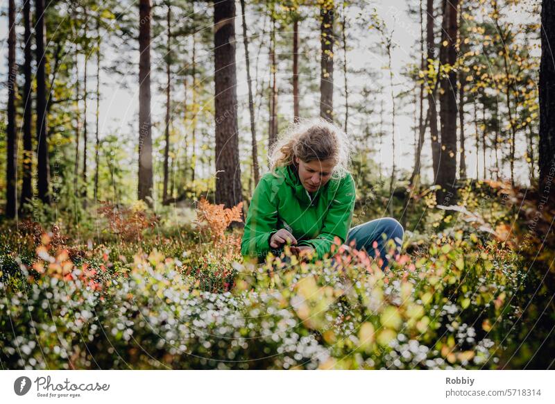 junge blonde Frau pflückt Beeren im Wald pflücken Ernte Frucht frisch Natur Lebensmittel lecker reif Garten Gesundheit Vitamin Jahreszeiten Farbfoto