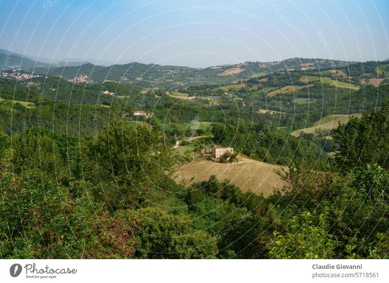 Ländliche Landschaft bei Amandola, Marken, Italien Europa fermo Pieca Farbe Tag grün Hügel Natur Fotografie Pflanze ländlich Sommer reisen Baum