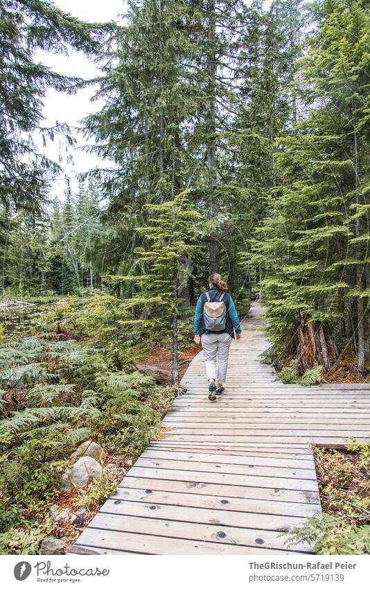 Frau lauft über Holzsteg im Wald Park Natur Kanada Naturschutzgebiet Landschaft Farbfoto Außenaufnahme Ferien & Urlaub & Reisen British Columbia laufen erkunden