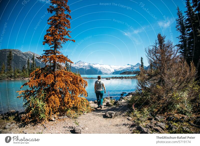 Frau lauft richtung See neben totem Baum vorbei Kanada Wald Berge u. Gebirge aussicht wandern Panorama (Aussicht) Blauer Himmel sonnig wandernd Urlaub Ferne