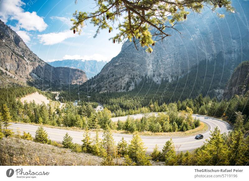 Auto fährt auf einer grossen Kurve den Berg hoch Straße Kanada Wald See Berge u. Gebirge lillooet reisen Autofahren Wasser Baum Bäume waldgebiet Tourismus