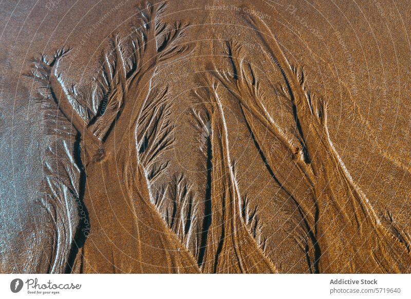 Abstrakte Sandmuster am Strand von Jaizkibel, Spanien abstrakt Muster gipuzkoa Textur natürlich vergängliche Küste Malerei Wasser Ufer erdig golden künstlerisch