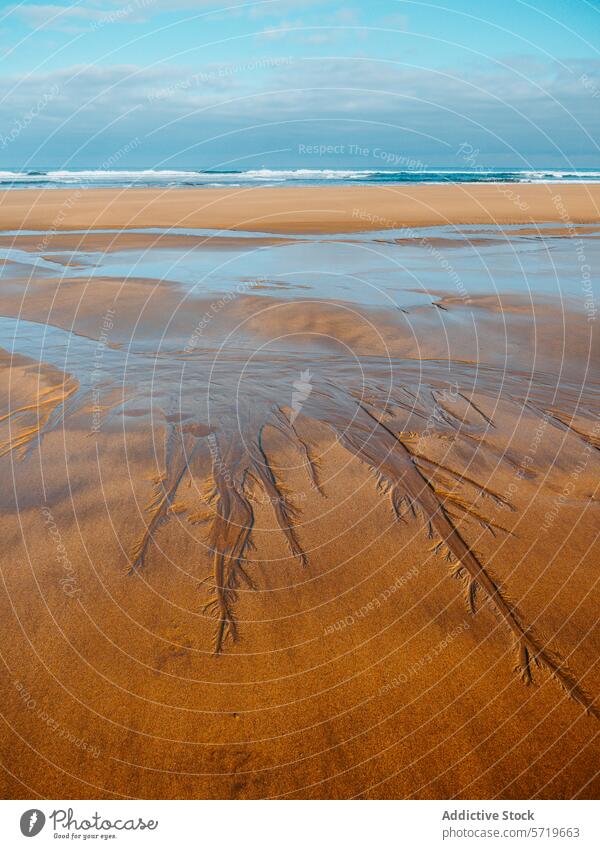Gelassene Strandlandschaft mit einzigartigen Sandmustern Muster Meer winken blau Himmel Gelassenheit friedlich Natur Küstenlinie Meereslandschaft ruhig