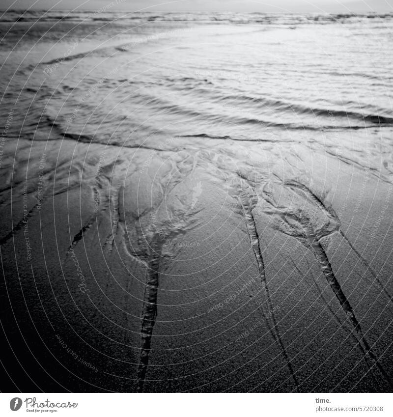 Lebenslinien .165 Strang Küste Nordsee Meer wellen gegenlicht sich[Akk] beugen Sonnenlicht Sand Sandbank Wasser Siel auflaufendes Wasser Gezeiten Sommer Natur