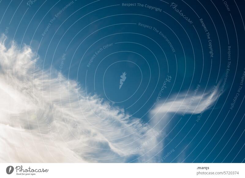 Helfende Hand Wolken nur Himmel Symbole & Metaphern Unterstützung Hilfsbereitschaft Schönes Wetter Sonnenlicht Meteorologie Wolkenhimmel Klima Klimawandel