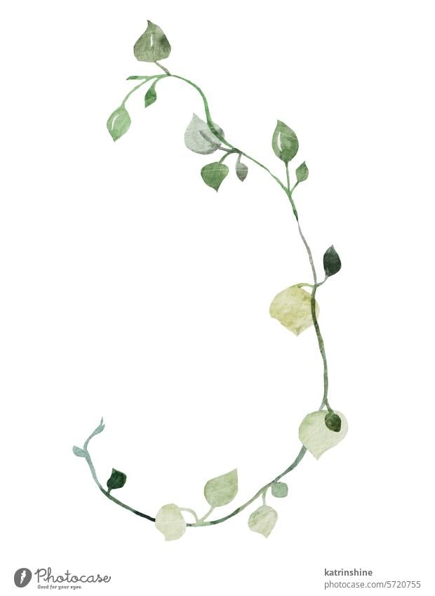Aquarell kleine Zweige mit grünen Blättern isoliert Illustration, botanische Hochzeit Element Geburtstag Dekoration & Verzierung Zeichnung Garten handgezeichnet