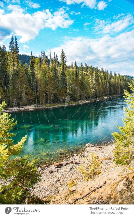 Klarer See bei dem Man die Steine sieht klares Wasser Wald wälder Natur Landschaft Außenaufnahme Ferien & Urlaub & Reisen Berge u. Gebirge Sommer Farbfoto