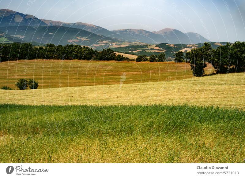 Ländliche Landschaft bei Fiastra, Marken, Italien, im Sommer Europa Macerata Marche Farbe Tag Feld grün Hügel Natur Fotografie Pflanze ländlich reisen Baum