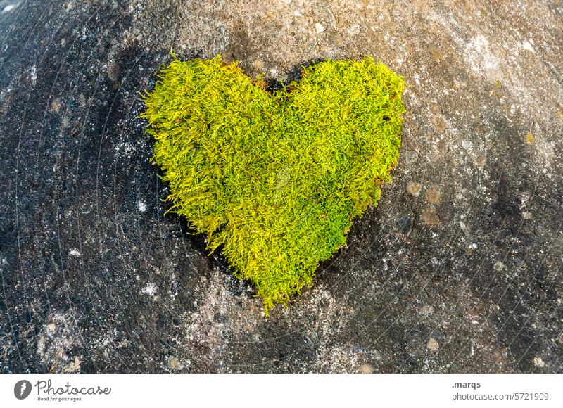 Naturverbunden Liebe grün Wachstum Herz Moos Pflanze außergewöhnlich Bioprodukte Verliebtheit Leichtigkeit weich Gesundheit frisch ästhetisch Stein Romantik