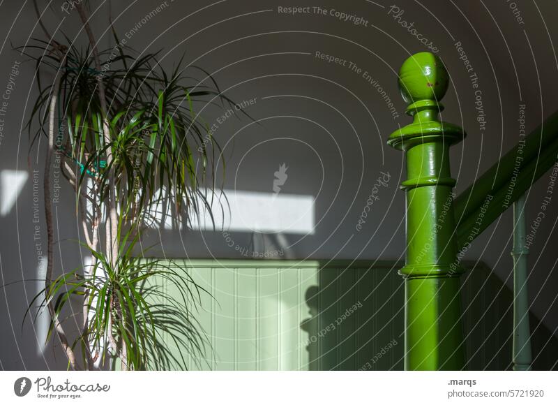 Begegnung Treppenhaus Licht Schatten grün Pflanze Treppengeländer Wand weiß wohnen