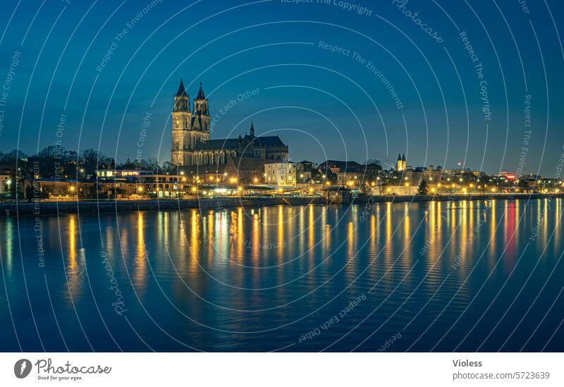 Magdeburg by night II Elbe Nacht Dämmerung Lichter gotischer Dom Wahrzeichen Magdeburger Dom blau Spiegelung