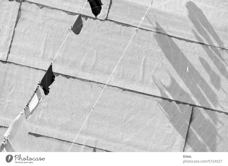 Waschtag Wäsche Wäscheleine trocknen Dach Bitumendach Bitumenbahn sonnig Schatten Vogelperspektive Häusliches Leben Alltagsfotografie Wäsche waschen Sauberkeit