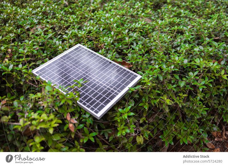Solarmodul auf üppig grünem Laub solar Panel Laubwerk umweltfreundlich Energie Natur Verflechtung Blätter dicht Bett nachhaltig Technik & Technologie Kraft