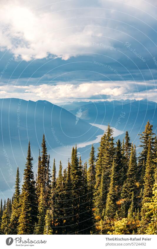 Spitziger Berg welcher aussieht wie das Matterhorn Berge u. Gebirge Kanada Tourismus Wanderung Himmel Landschaft wandern Natur Sommer Wald sonnig Stimmung