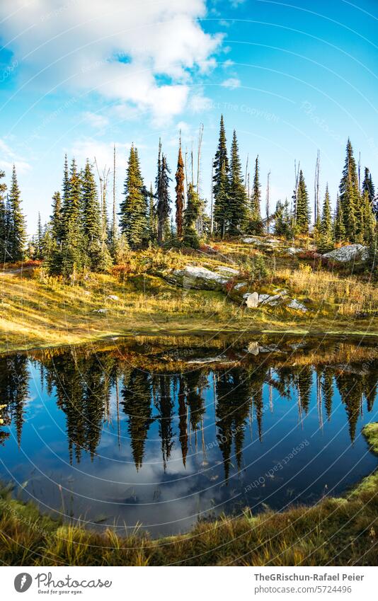 Wald spiegelt sich in einem kleinen See Berge u. Gebirge Kanada Tourismus Wanderung Himmel Landschaft wandern Natur Sommer sonnig Stimmung Wolken Außenaufnahme
