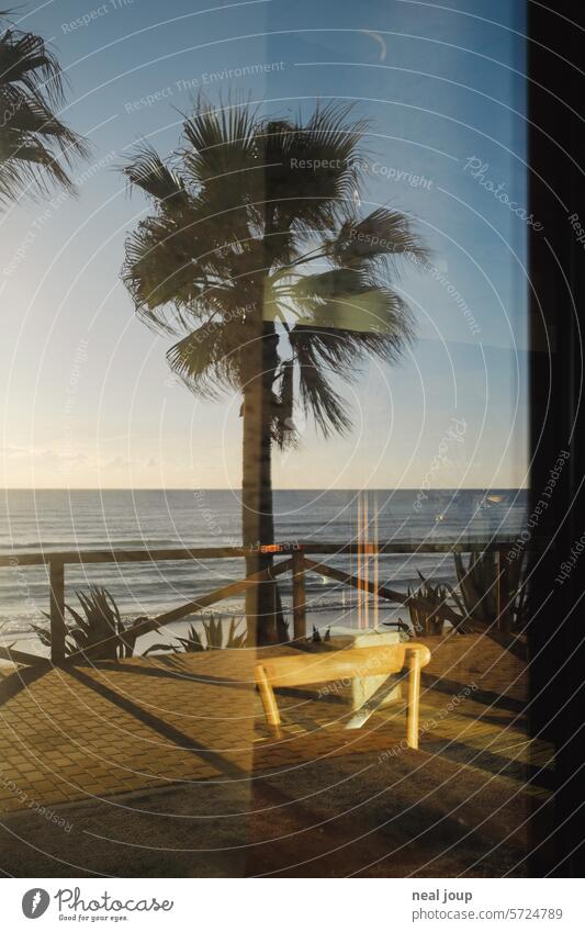 Palme und Meereshorizont spiegeln sich in der Fensterscheibe eines leeren Restaurants Natur Horizont Himmel blauer Himmel schönes Wetter Sommer warm Küste