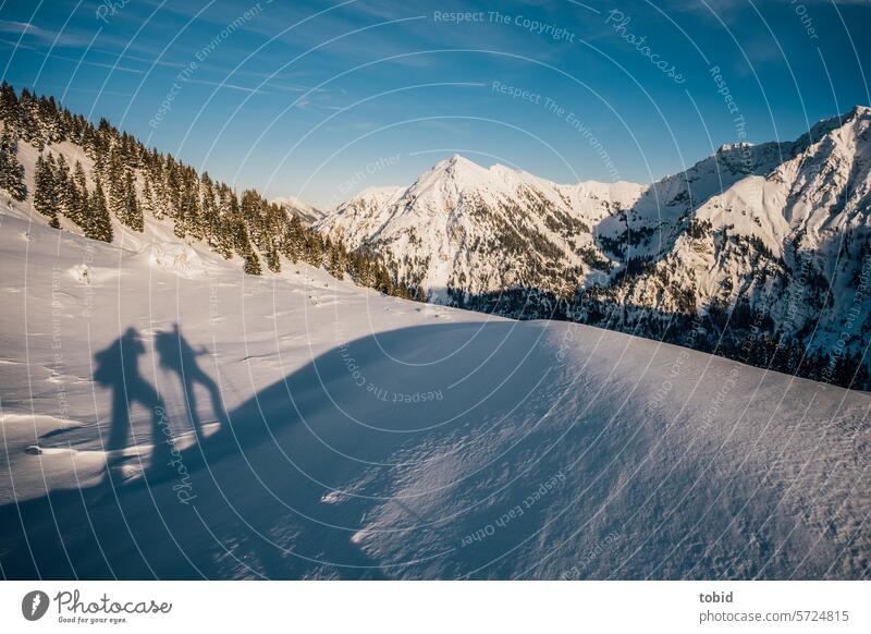 Wanderung im Schnee Schattenspiel Silhouette Alpen alpenlandschaft Winter Winterstimmung Schneebedeckte Gipfel Sonnenlicht Schönes Wetter Berge u. Gebirge