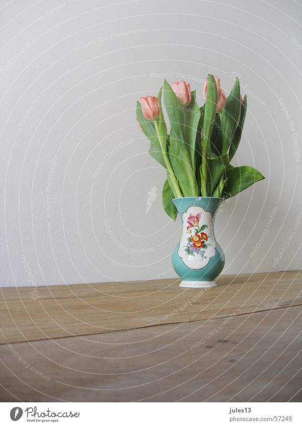 frühling Tulpe Vase Blume Wand weiß Tisch Holz grün mehrfarbig braun. anschnitt Kitsch