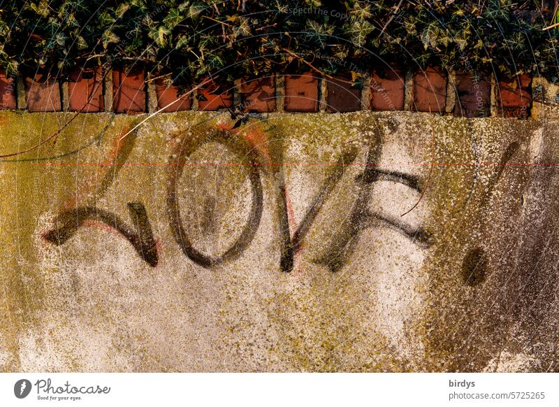 love, graffiti auf einer Mauer Liebe Lieben Wort Gefühle Love Symbole & Metaphern Liebesbekundung universell gedeckte Farben Schriftzeichen