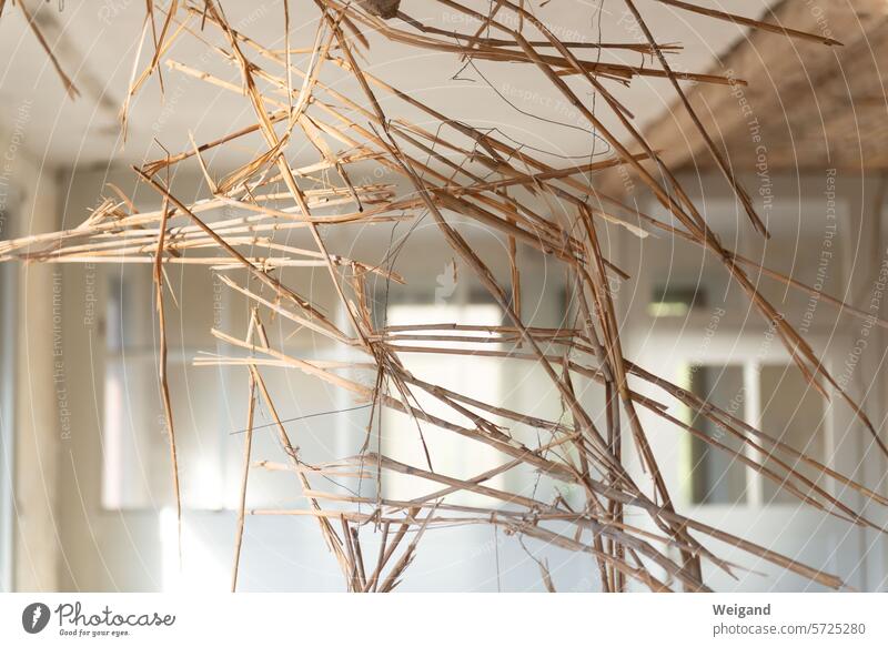 Baustelle Atelier mit Strohdämmung im Vordergrund, die sich wie ein abstraktes Kunstwerk in Form eines Netzes durchs Bild zieht Wohnraum Abriss Abbruch