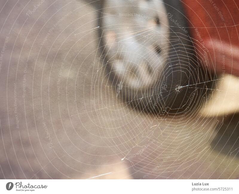 Ein Spinnennetz, vor einem schon lange geparkten Auto Sonnenlicht Detailaufnahme Spinnfäden Netz frei schwebend hängen Gespinst rot