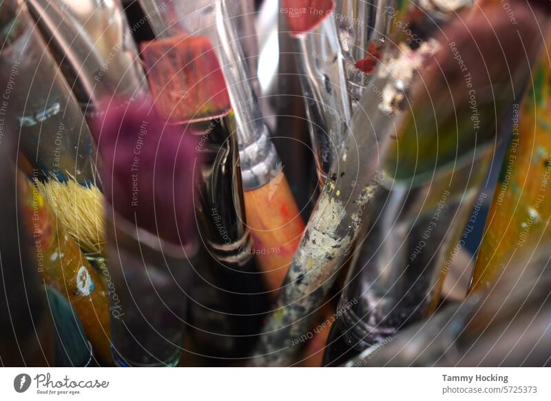 Ein Haufen stehender Pinsel in einem großen Glasgefäß Bürste Bürsten Farbe Frau Künstler im Innenbereich Kreativität Hobby künstlerisch Pinselblume
