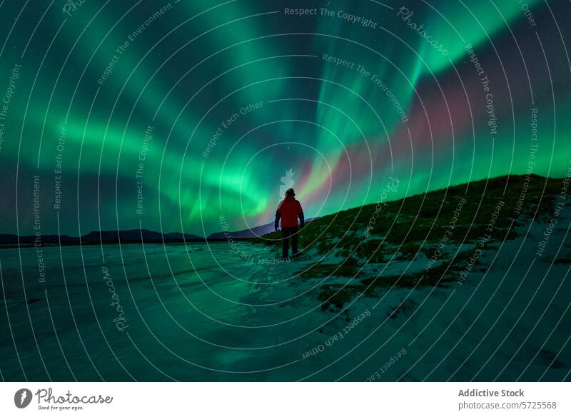 Spektakuläre Aurora Borealis über dem Berg Kirkjufell, Island Nordlicht Der Berg Kirkjufell Natur Naturwunder grün Himmel Nacht Licht zeigen Winter Landschaft