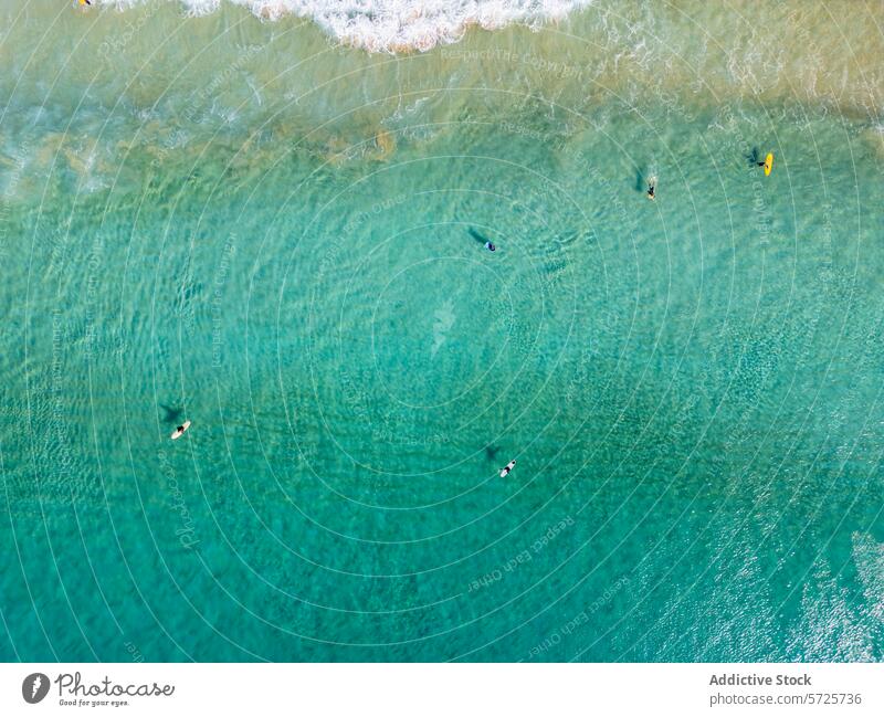 Eine Luftaufnahme, die die ruhige Szene der Surfer auf dem kristallklaren türkisfarbenen Wasser einfängt, während sich sanfte Wellen dem Ufer nähern Antenne